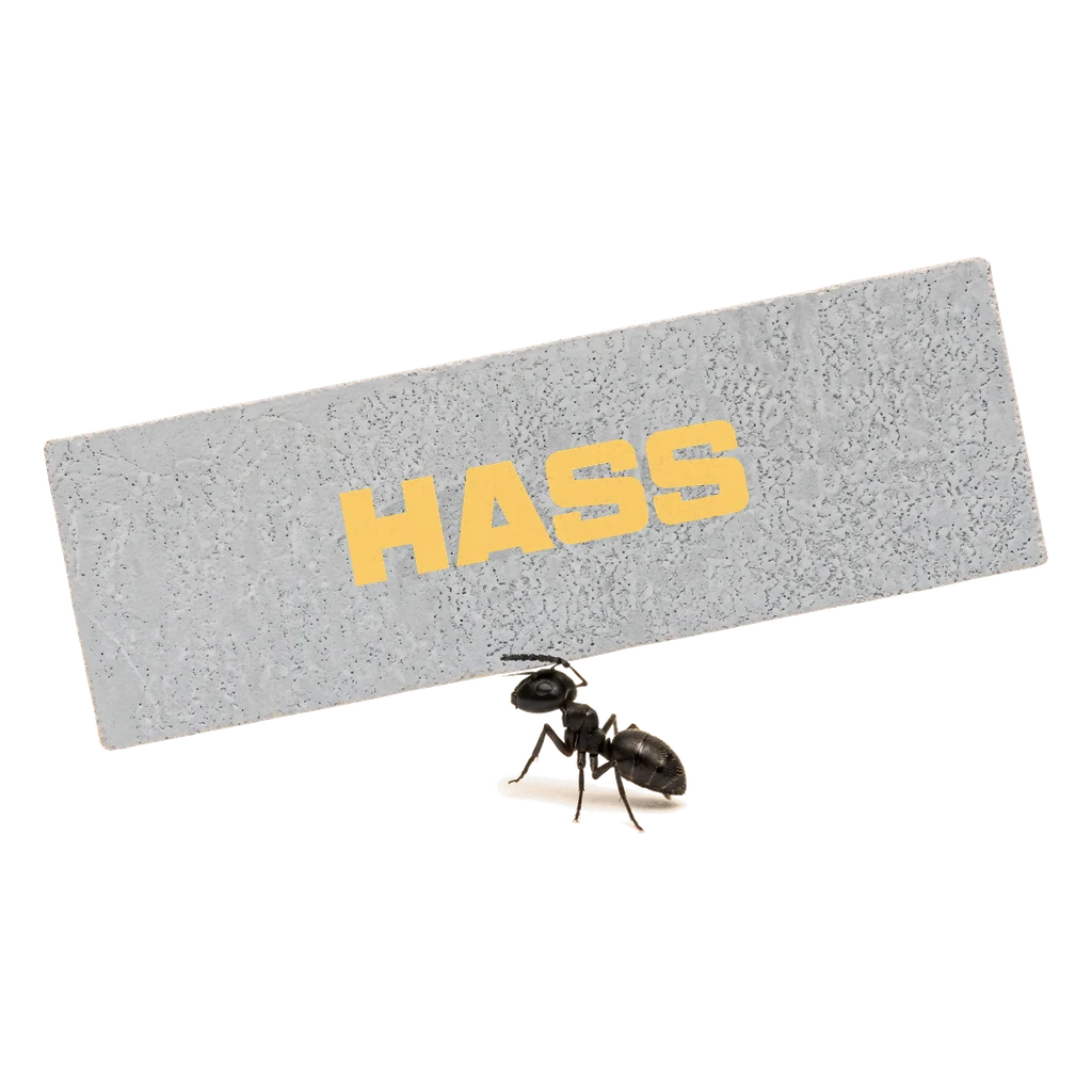 Một con kiến vác tấm ALC HASS
